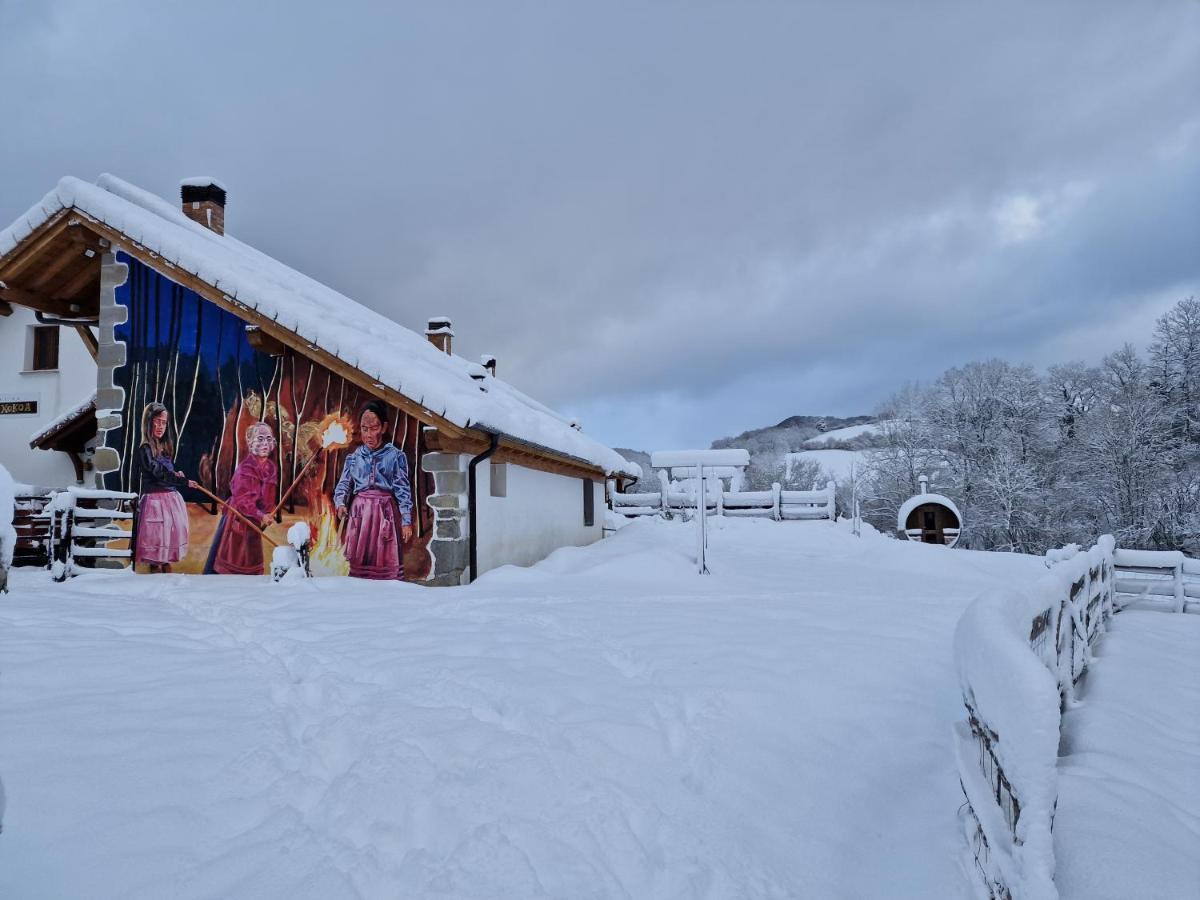 Hostal Rural Iratiko Urkixokoa Orbaiceta Dış mekan fotoğraf
